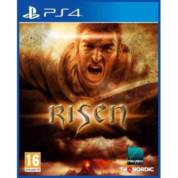 Risen (PS4) (Рус) (Б/У)